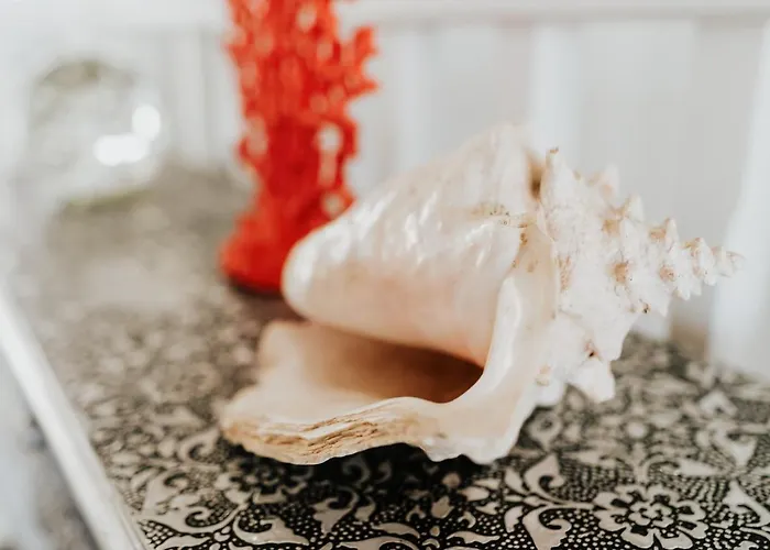 Casa La Fula Negra *